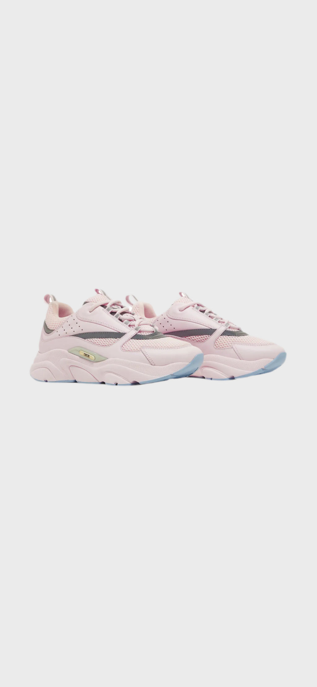 Dior B22