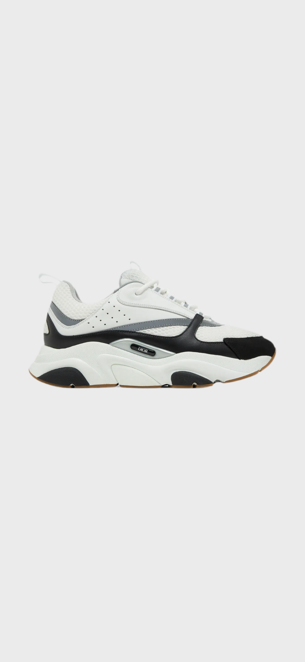 Dior B22
