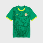 Maillot Sénégal