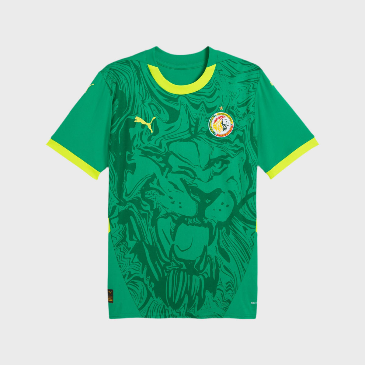 Maillot Sénégal